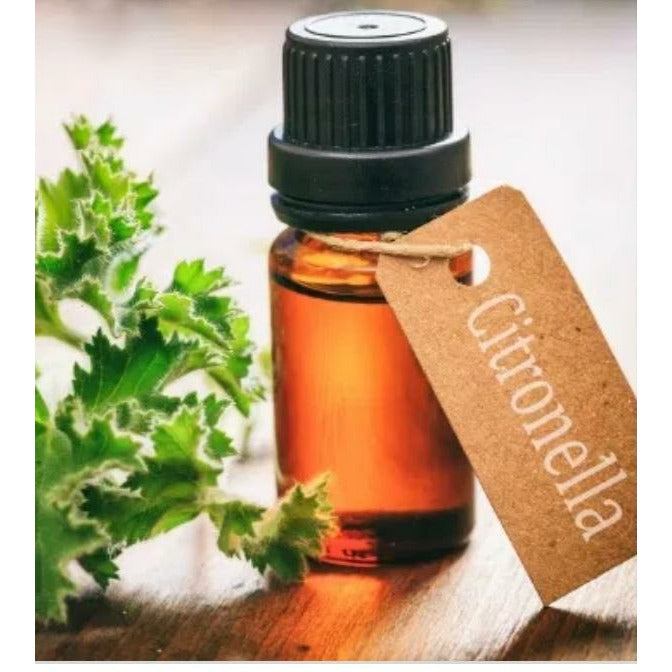 Citronella