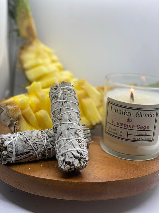 Pineapple Sage